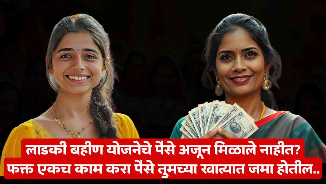 Ladki Bahin Yojana Status